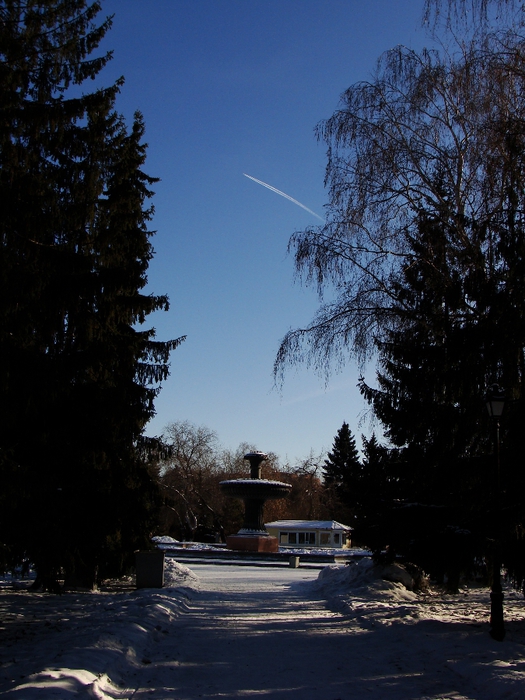 DSC02465 (525x700, 292Kb)