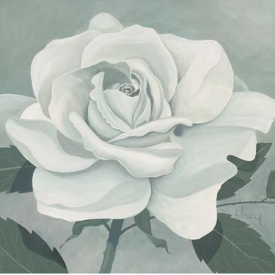 white-rose-by-franz-heigl (400x400, 22Kb)