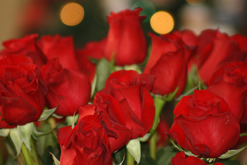 4485033_tumblr_lx6xqdURA61qe7vz2o1_500 (500x334, 84Kb)