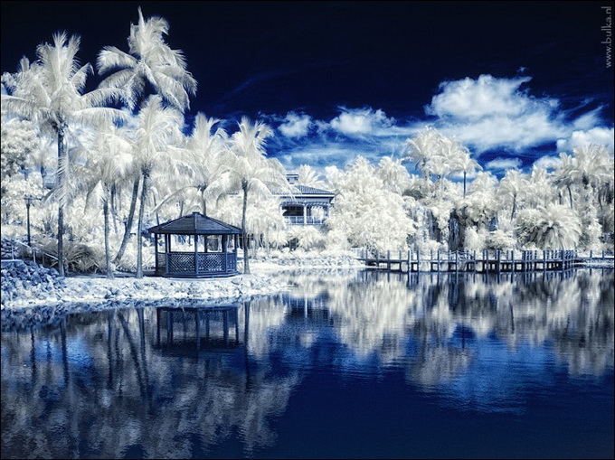 marianetsounskiir_8 (400x300, 164Kb)