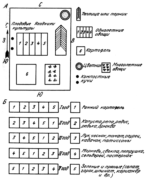 размещение овощей на огороде