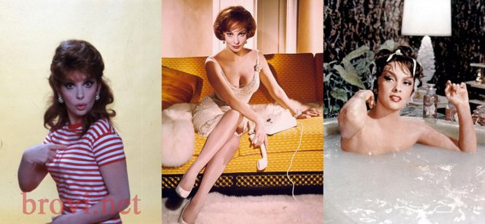 177_0_images_photo_Gina-Lollobrigida_gina-lollobrigida-11 (700x324, 53Kb)