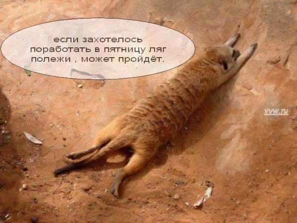 (600x450, 39Kb)