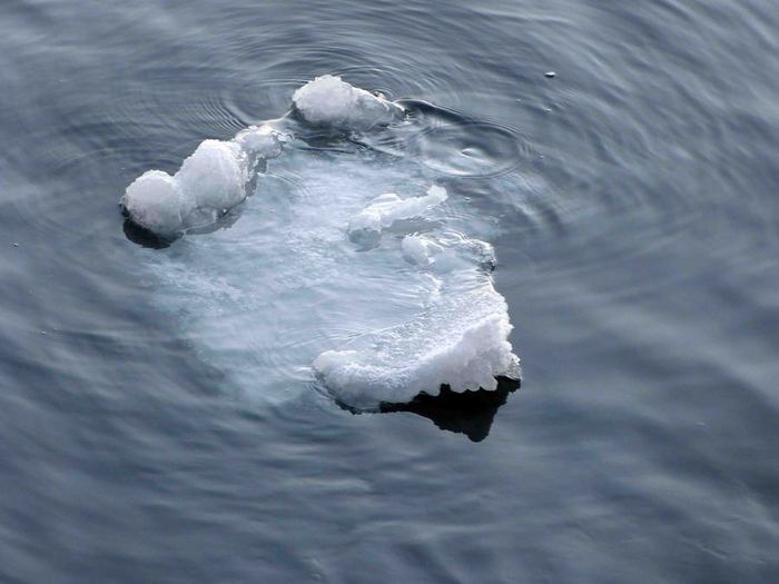 Кусок льда плавает на поверхности воды
