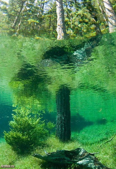 4690170_grunersee06 (481x700, 146Kb)