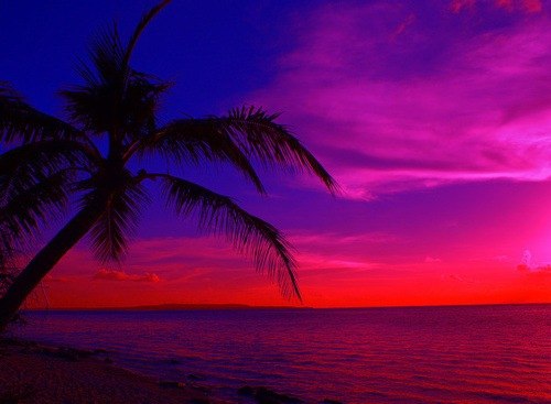 x_7a1edb44 (500x367, 32Kb)