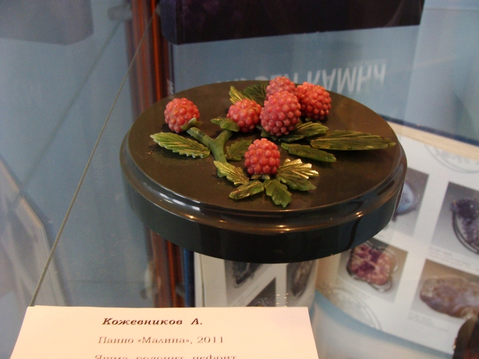 DSC02849 (700x525, 246Kb)