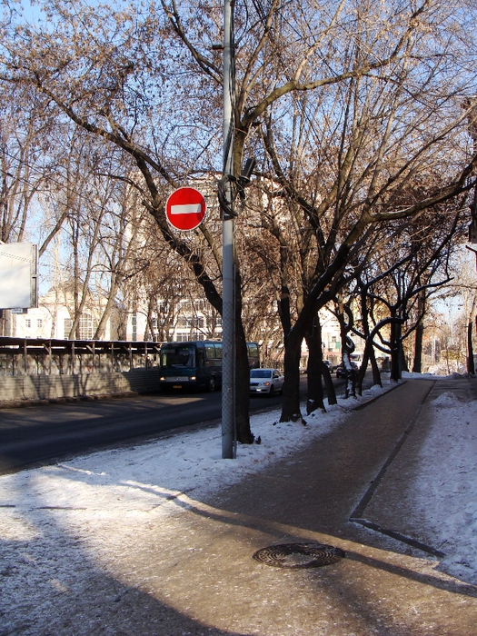 DSC02879 (525x700, 405Kb)