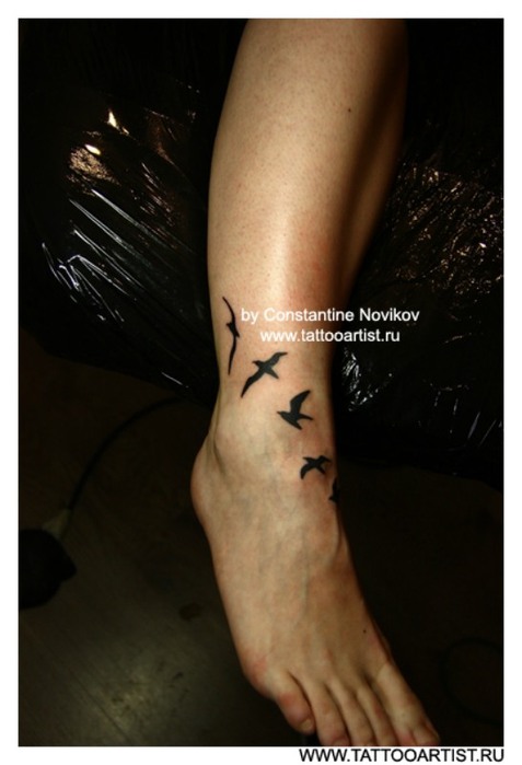 Тату чайка - значения, интересные эскизы татуировки с чайкой (52 фото)