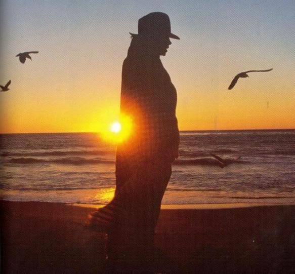 4356311_Mjmichaeljackson12607846583541 (583x541, 43Kb)