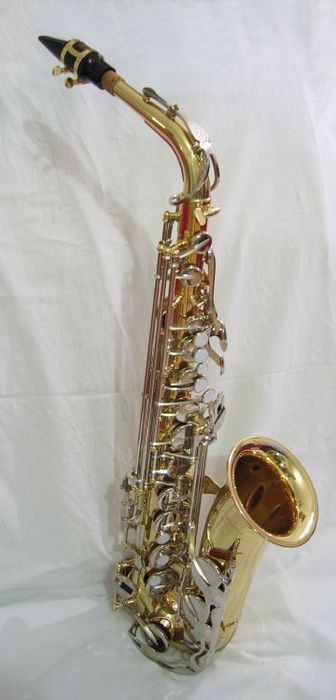 Saxophone_alto (336x700, 32Kb)