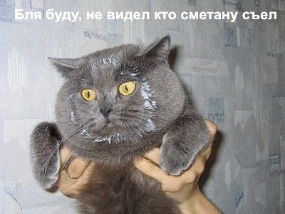 securedownload (5) (400x300, 28Kb)