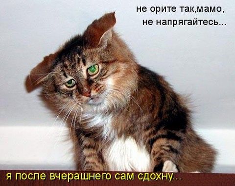 securedownload (11) (480x379, 37Kb)