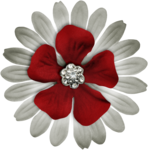  pspring-familytime-flower1 (690x700, 664Kb)