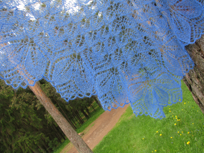 maijs 2012_2 130 (700x525, 670Kb)