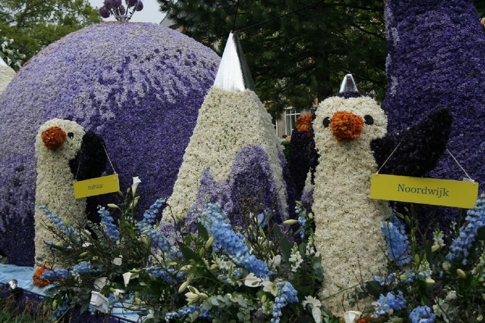 Bloemencorso_02 (700x466, 306Kb)