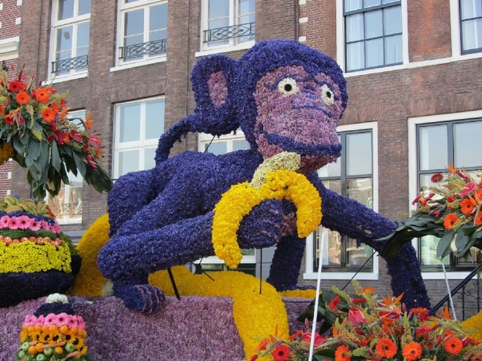 Bloemencorso_04 (700x525, 342Kb)