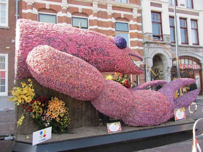 Bloemencorso_06 (700x525, 336Kb)