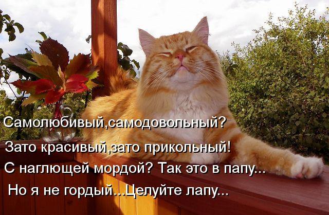 4716381_ryzhiinaglyistih (640x418, 68Kb)