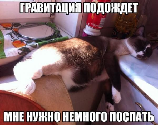 1394370963_011_27993_21 (600x474, 46Kb)