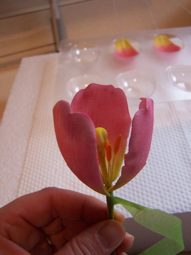 Gumpaste Tulip Tutorial20 (375x500, 106Kb)