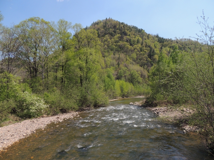 5559494_DSCN7400 (700x525, 331Kb)
