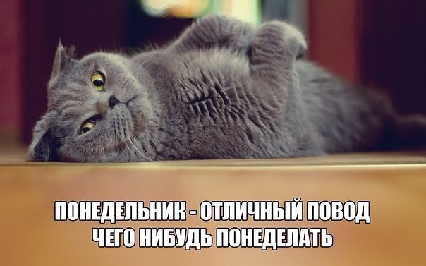 image (604x377, 155Kb)