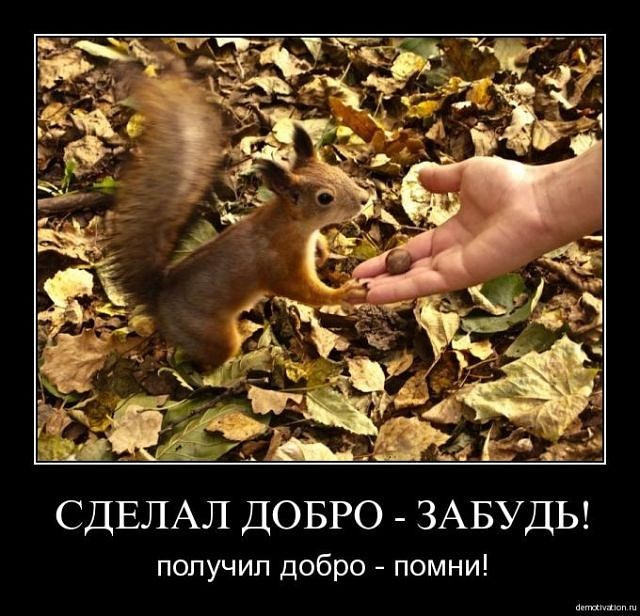 ДОБРО (640x616, 331Kb)