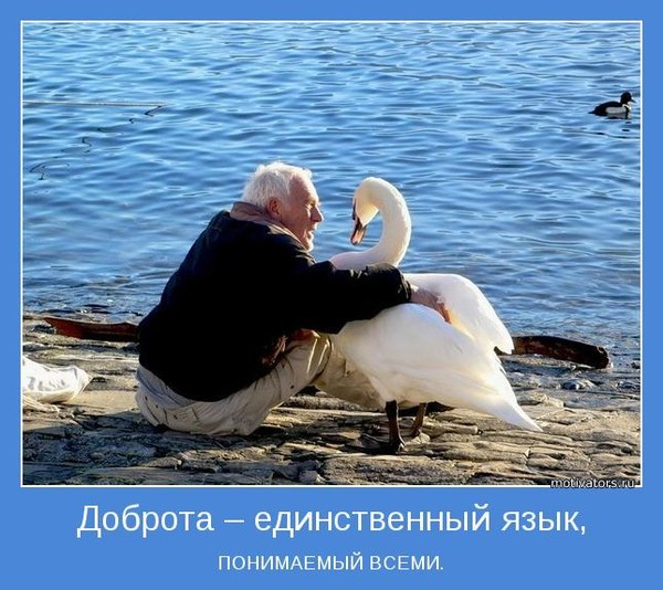 77135119_large_motivator133031 ДОБРОТА (600x534, 298Kb)