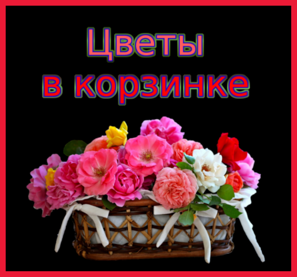 5845504_33894500 (600x561, 366Kb)