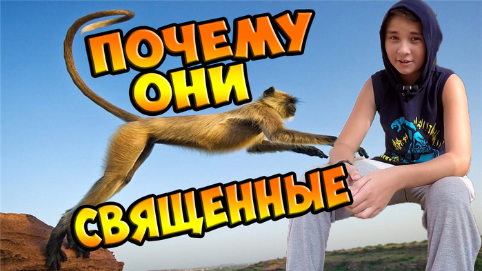 5783185_ (700x393, 265Kb)