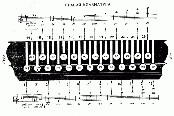 Виды Гармошек И Их Названия И Фото