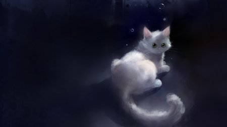 1377613397_white-kitty-animal-anime-apoffis-cat-original-1440x2560 (450x253, 33Kb)