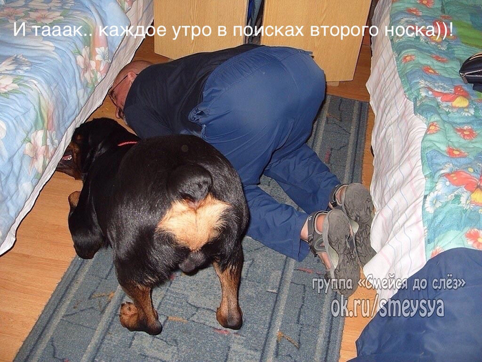 image (700x525, 451Kb)