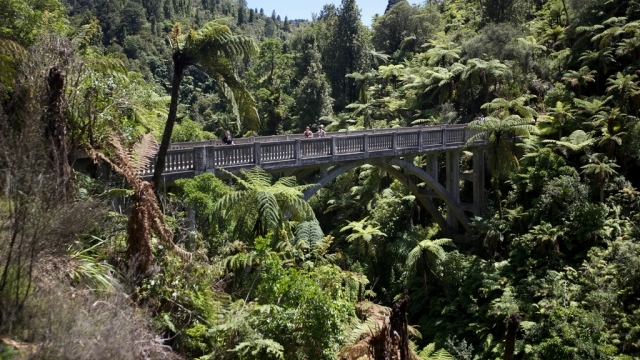 1358536499_3 (640x360, 265Kb)