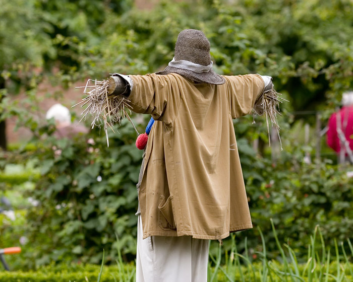 scarecrow-man-garden (700x560, 108Kb)