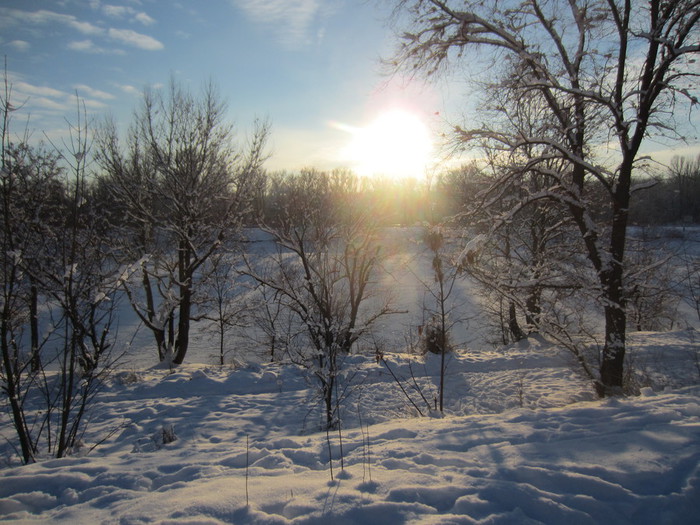 IMG_0536 (700x525, 129Kb)