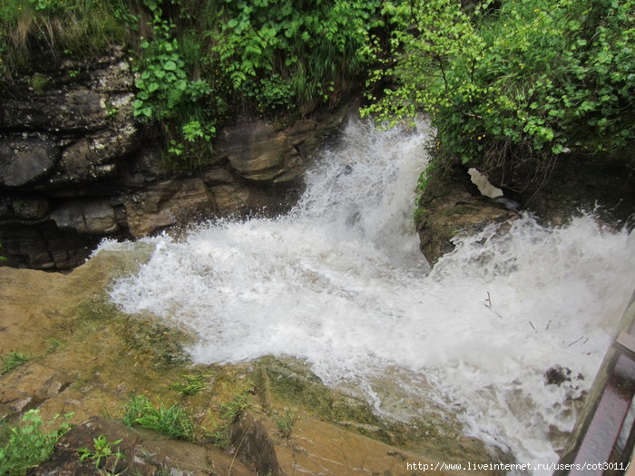 IMG_0122 (700x525, 295Kb)