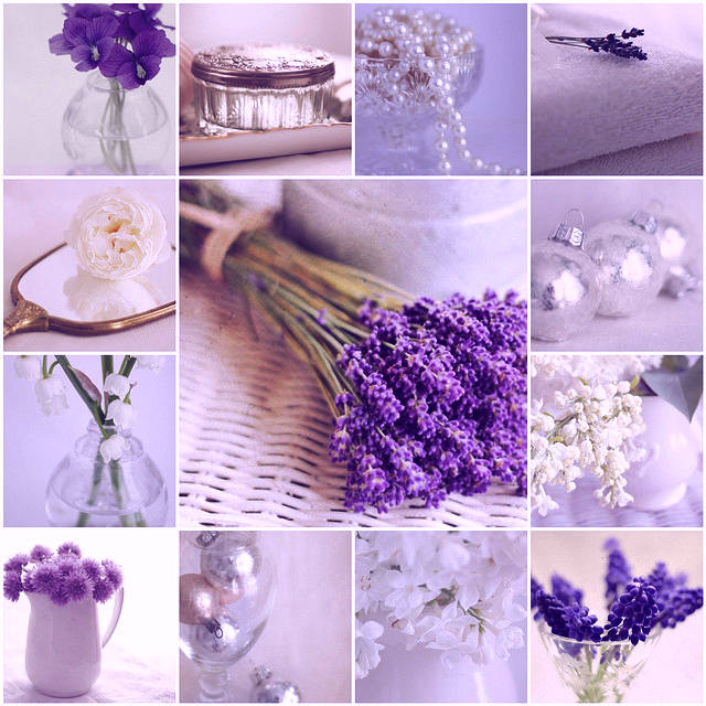 Лаванда Lavender aesthetic