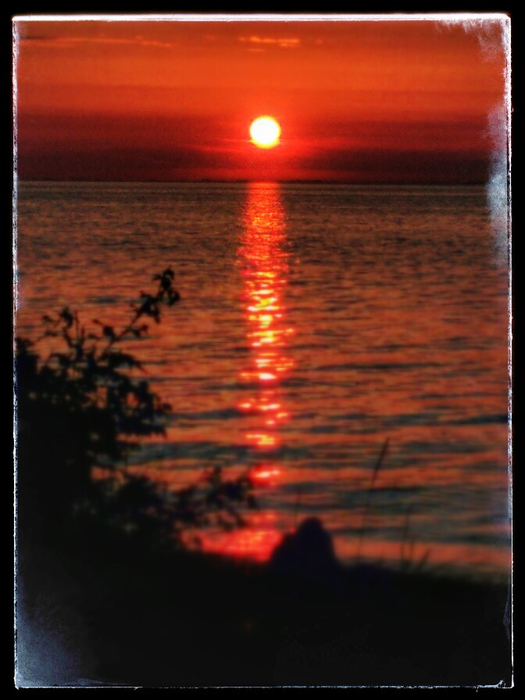 IMG_20150517_203709~2 (525x700, 301Kb)