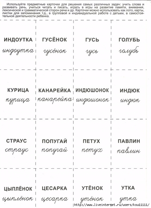 Mir_zhivotnyh_2.page2 (507x700, 174Kb)