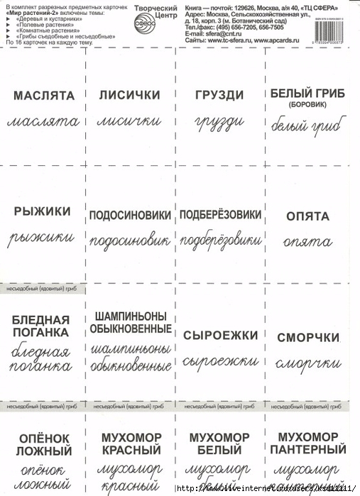 Mir_rasteniy_2.page2 (507x700, 213Kb)