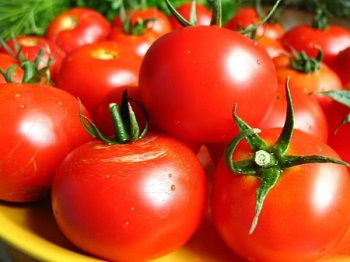 tomato (350x262, 34Kb)