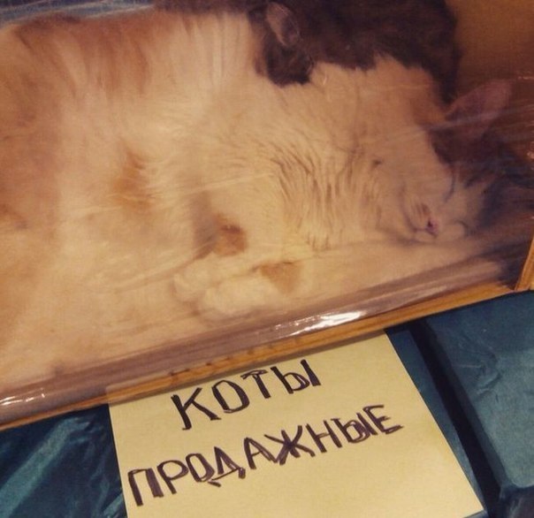 5864144__2_ (604x586, 54Kb)