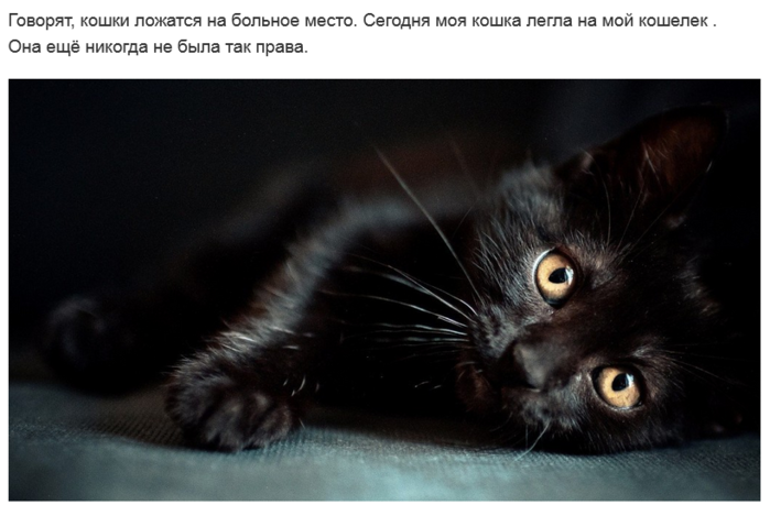 4 (700x459, 346Kb)