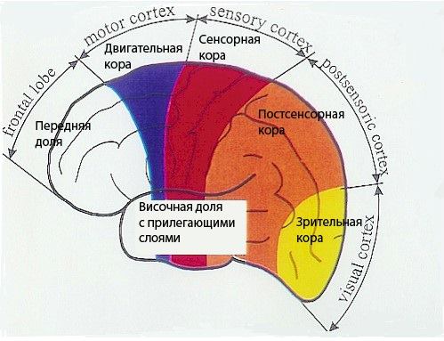 11255412_1621028334847699_1169730154214733147_n (499x383, 36Kb)