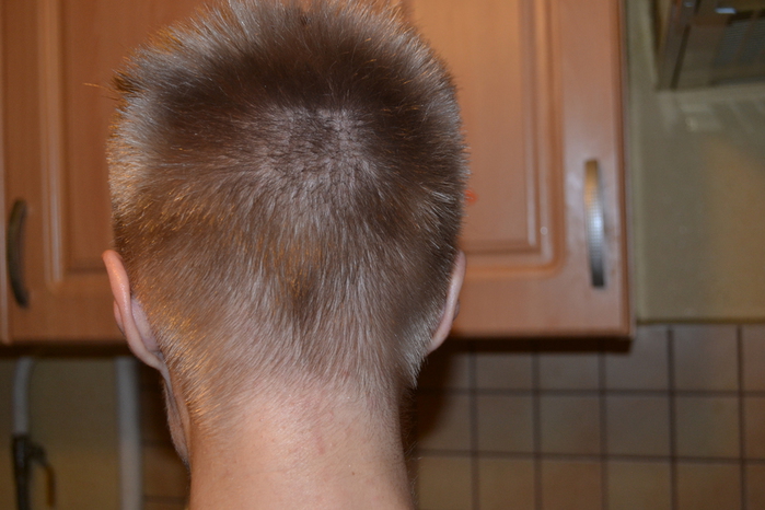 DSC_0117 (700x466, 211Kb)