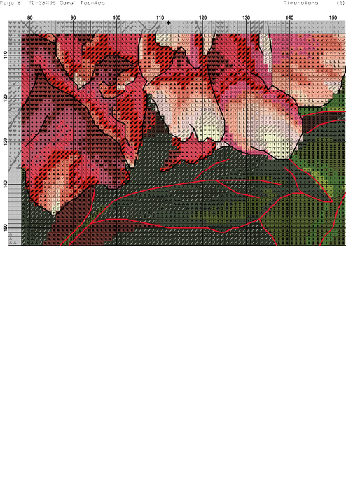 Coral Peonies-005 (494x700, 322Kb)