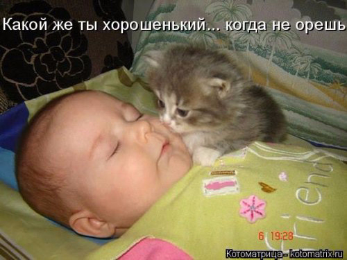 http://img0.liveinternet.ru/images/attach/c/4/122/859/122859064_1432374012_kotomatrica18.jpg