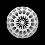   (10) (500x500, 387Kb)